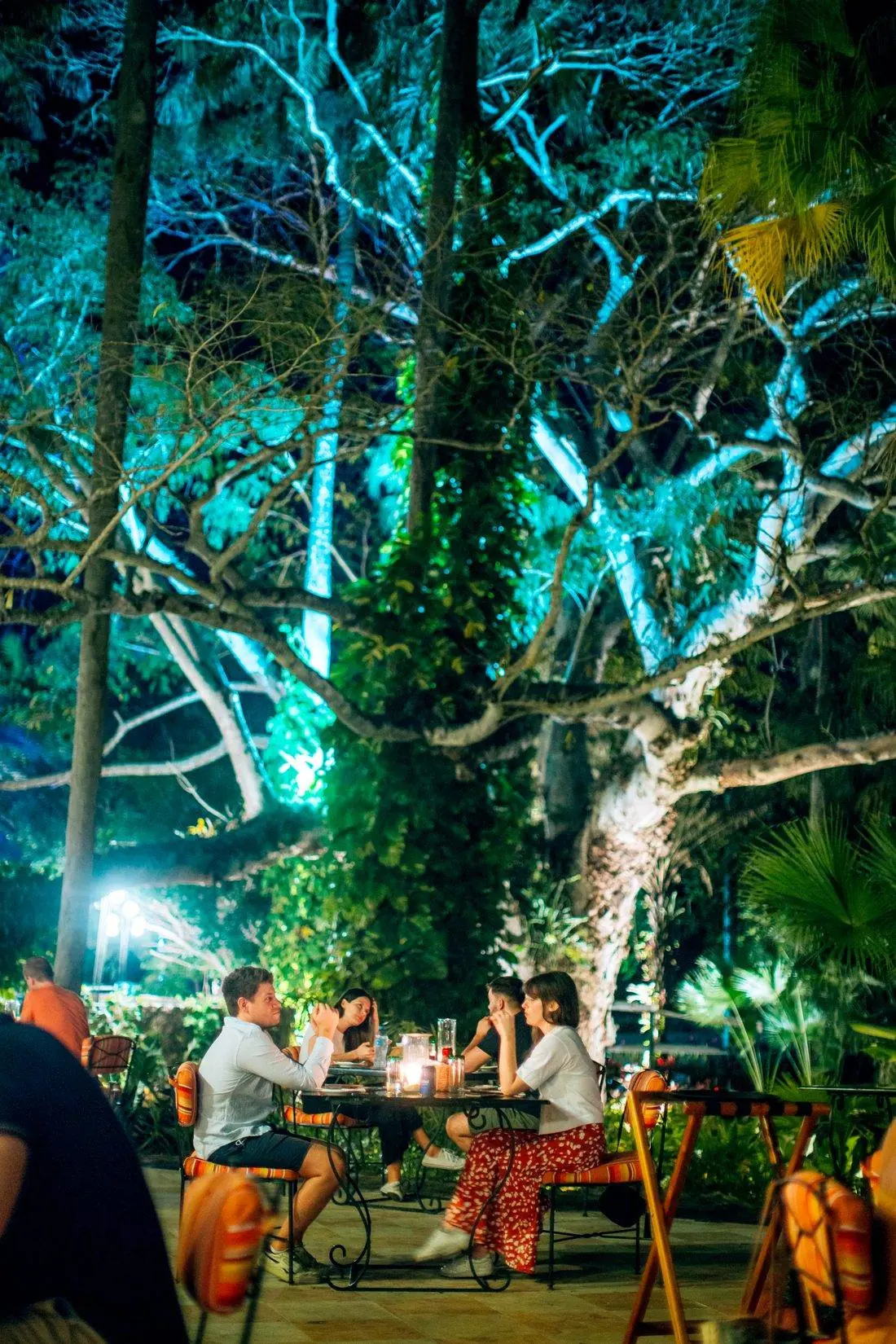 Cena al aire libre en los jardines de El Gran Maya, por la noche